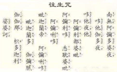 其他文章